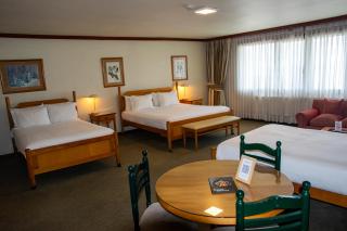 abba Presidente Suites Puerto Montt - Puerto Montt - 9