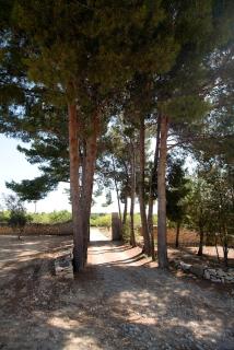 Hort del Viver Villa en plena naturaleza - 8