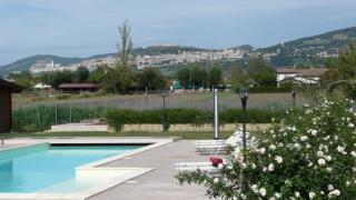 Il Fienile di Assisi - Asís - 7
