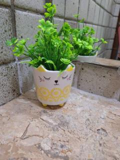 Imóvel Colonial - 4