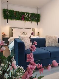 Premium Hils Brauner Studio - Bucarest - 0