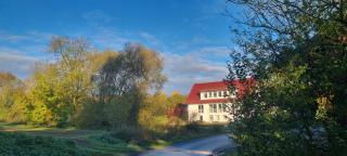 Ferienapartment Haus am Grün 2 "Sunshine" - Ruhe & Entspannung mitten in der Natur - Herzberg am Harz - 8