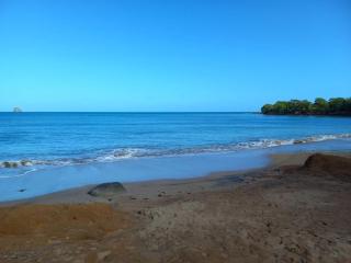 Les Cocons de Sainte-Rose, location de vacances - Sainte-Rose - 7