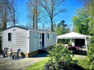 Camping de Pallegarste Eco Villa 141 - Mariënberg - 0