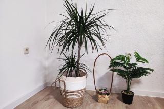 Farah Apartment - Mostar - 3