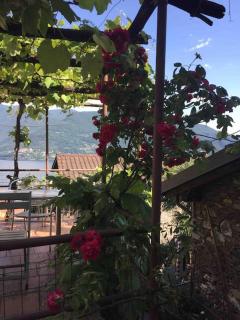 Come Relax and Enjoy the Breathtaking Views - Brissago - 6