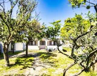 Casa Mimi - Procida - 7