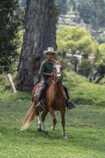 ARTHOUSE Cajamarca - Hacienda San Antonio - Cajamarca - 5