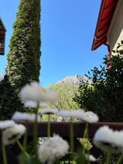 Luna House Busteni - Buşteni - 8