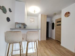 ART Apartment Górnośląska 4 By Perfect Apart - Varsavia - 3