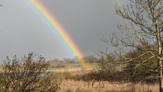 Ferienwohnung in der Uckermark - 8