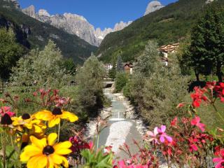 Villa Ginestra - Molveno - 5