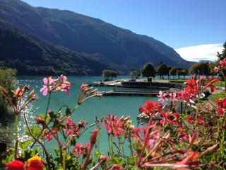 Villa Ginestra - Molveno - 4