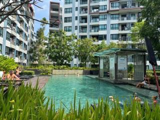 Centrio Condominiums Top Floor with Pool and Garden view - Ban Na Kha - 5