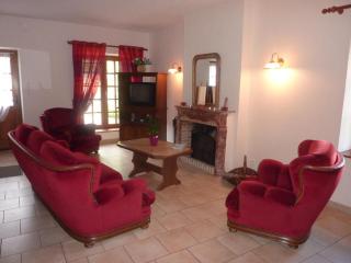 Maison à Cheverny, 6 pers, jardin, proche château, animaux acceptés, internet, parking privé. - FR-1-491-338 - Cheverny - 4