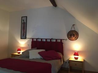Maison à Cheverny, 6 pers, jardin, proche château, animaux acceptés, internet, parking privé. - FR-1-491-338 - Cheverny - 1