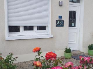 Gîte proche de Blois, jardins et châteaux, parfait pour vos vacances en famille - FR-1-491-343 - Saint-Gervais-la-Forêt - 0