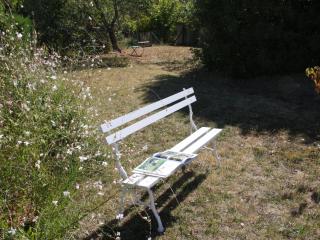 Gîte urbain avec jardin clos et animaux admis, à proximité des châteaux de la Loire - FR-1-491-343 - 3