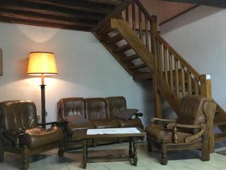 Maison cosy proche de Blois avec cheminée, cour fermée, animaux acceptés et activités variées à proximité - FR-1-491-351 - Chailles - 9