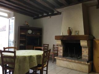 Maison cosy proche de Blois avec cheminée, cour fermée, animaux acceptés et activités variées à proximité - FR-1-491-351 - Chailles - 8