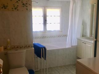 Maison en Sologne avec jardin, pêche, équipements de loisirs, proche des châteaux et ZooParc de Beauval. - FR-1-491-362 - Villeherviers - 1
