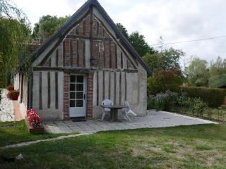 Gîte chaleureux près des Châteaux de la Loire, avec terrasse, équipements de loisirs et pêche - FR-1-491-357 - Cour-Cheverny - 9