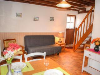 Gîte chaleureux près des Châteaux de la Loire, avec terrasse, équipements de loisirs et pêche - FR-1-491-357 - Cour-Cheverny - 7