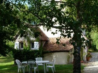 Gîte champêtre familial près des Châteaux de la Loire, terrasse, pêche, aire de jeux, animaux acceptés - FR-1-491-345 - Cour-Cheverny - 8