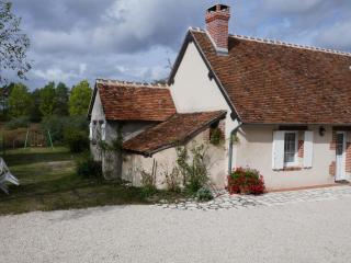 Gîte champêtre familial près des Châteaux de la Loire, terrasse, pêche, aire de jeux, animaux acceptés - FR-1-491-345 - Cour-Cheverny - 7