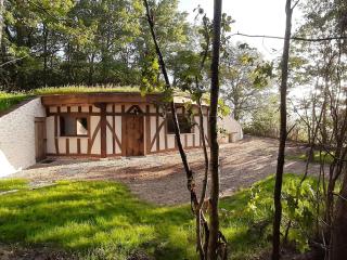 Location Insolite : Maison Hobbit avec Arbre Intégré, à Proximité de Chambord - FR-1-491-375 - Crouy-sur-Cosson - 0