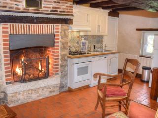 Gîte champêtre familial près des Châteaux de la Loire, terrasse, pêche, aire de jeux, animaux acceptés - FR-1-491-345 - Cour-Cheverny - 5