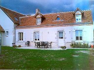 Gîte au coeur des Châteaux de la Loire avec jardin clos, cheminée et équipements modernes. - FR-1-491-360 - Cour-Cheverny - 0