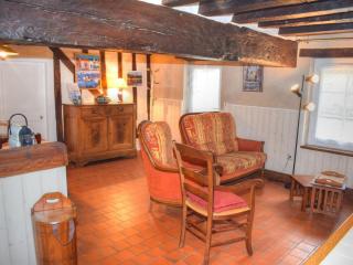 Gîte champêtre familial près des Châteaux de la Loire, terrasse, pêche, aire de jeux, animaux acceptés - FR-1-491-345 - Cour-Cheverny - 1