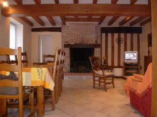 Gîte au coeur des Châteaux de la Loire avec jardin clos, cheminée et équipements modernes. - FR-1-491-360 - Cour-Cheverny - 9
