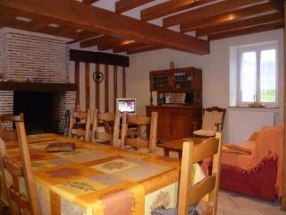 Gîte au coeur des Châteaux de la Loire avec jardin clos, cheminée et équipements modernes. - FR-1-491-360 - Cour-Cheverny - 8
