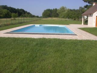 Luxueuse demeure rénovée avec piscine chauffée et vaste parc, à proximité des châteaux et du zoo de Beauval - FR-1-491-347 - Saint-Georges-sur-Cher - 9