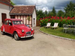 Charmante Ferme Restaurée avec Jardin Clos, Proche des Châteaux, Idéale Familles et Nature - FR-1-491-365 - Mont-près-Chambord - 7