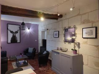 Gîte 18ème avec jardin, jeux, et ateliers cuisine près de l'Abbaye de Pontlevoy. - FR-1-491-349 - Pontlevoy - 3