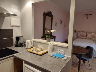 Charmant Studio au Cœur de Pontlevoy avec Jardin, Parking et Ateliers Pâtisserie - FR-1-491-363 - Pontlevoy - 1