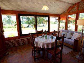 Gîte rustique à Cheverny: nature, tennis, animaux bienvenus, pêche et châteaux de la Loire à proximité - FR-1-491-366 - Cheverny - 9