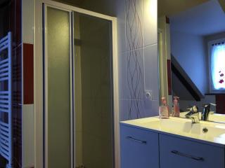 Maison avec cour, WiFi, animaux admis, parking - Saint-Rimay - FR-1-491-383 - Saint-Rimay - 4