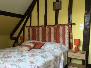 Maison avec cour, WiFi, animaux admis, parking - Saint-Rimay - FR-1-491-383 - Saint-Rimay - 2