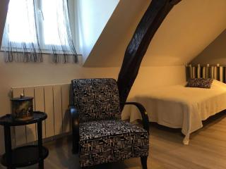 Maison avec cour, WiFi, animaux admis, parking - Saint-Rimay - FR-1-491-383 - Saint-Rimay - 1