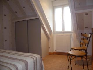 Maison de charme avec jardin clos, animaux acceptés, près de Cheverny, tout confort inclus - FR-1-491-387 - Cour-Cheverny - 2