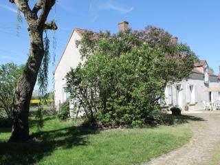 Maison familliale près de Chaumont-sur-Loire : calme, bien équipée, idéale pour découvrir les Châteaux. - FR-1-491-379 - Chaumont-sur-Loire - 4