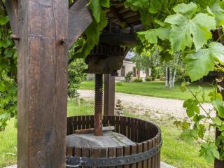 Grande maison familiale avec jardin, salle de jeux, proche de Tours et Blois. - FR-1-491-380 - Authon - 8