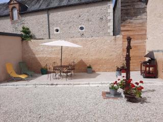 Maison paisible avec jardin clos à Cheverny, proche commerces et Château de Tintin - FR-1-491-391 - Cheverny - 9