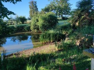 Gîte de charme avec piscine, terrasse et jardin dans la vallée du Loir - FR-1-491-381 - Prunay-Cassereau - 6