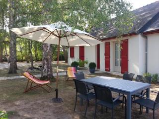 Maison charmante au cœur des Châteaux de la Loire - FR-1-491-403 - 1