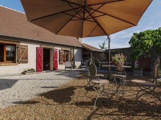 Gîte familial avec jardin, jeux enfants et près des châteaux de la Loire - FR-1-491-390 - Cour-Cheverny - 9